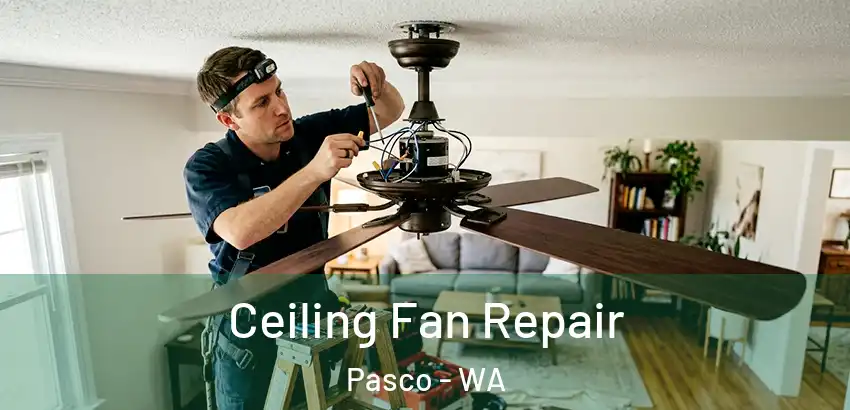 Ceiling Fan Repair Pasco - WA